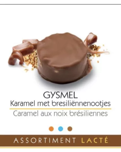 Gysmel M (1KG)