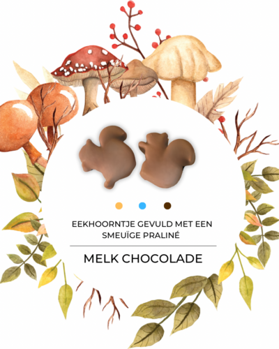 Praliné eekhoorntje M (1kg)