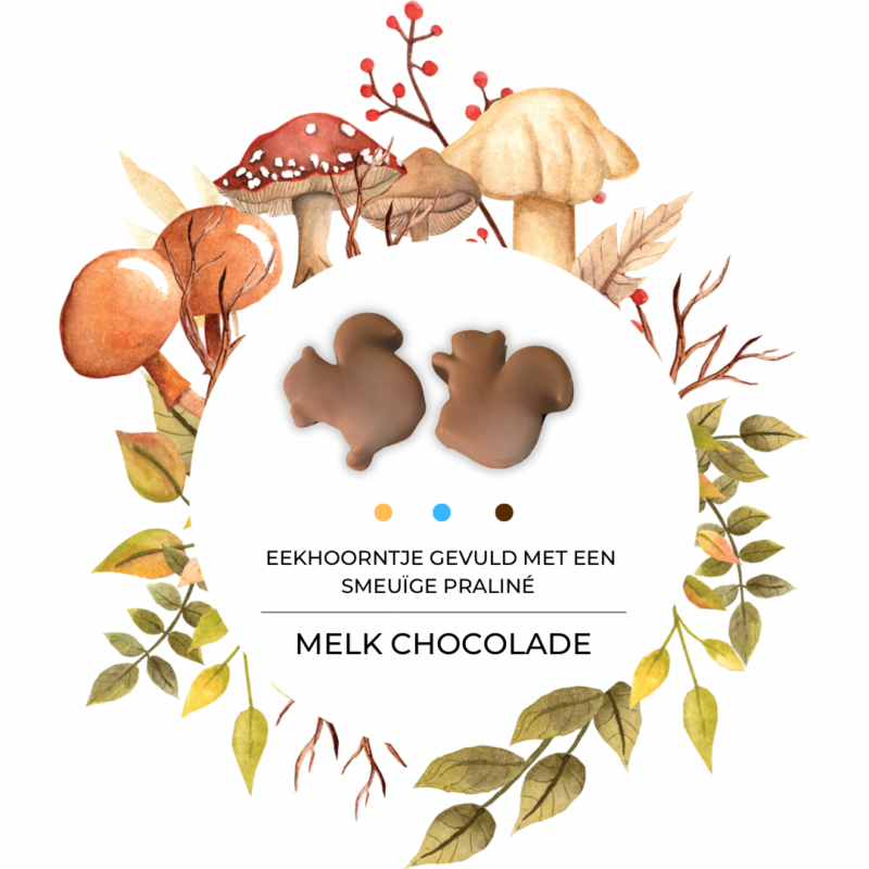 Praliné eekhoorntje M (1kg)